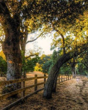 Departure Transportation